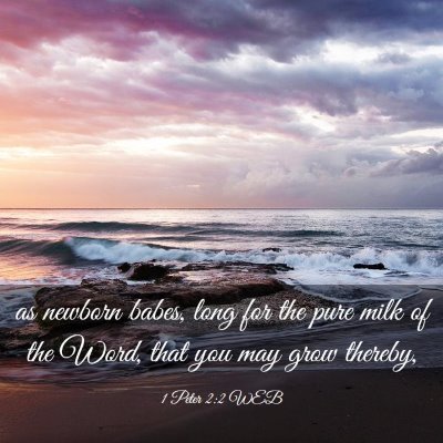Picture 03 - 1 Peter 2:2 WEB - as newborn babes, long for the pure milk of the - Bible Verse Picture