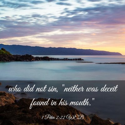 Picture 03 - 1 Peter 2:22 WEB - who did not sin, 