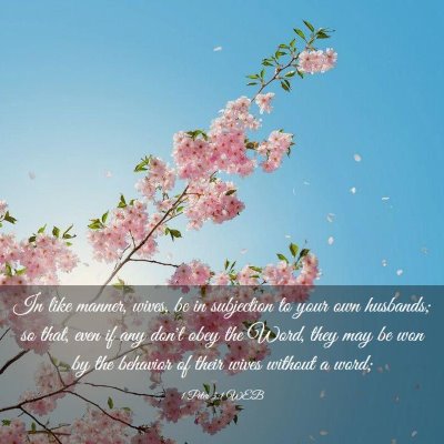 Picture 03 - 1 Peter 3:1 WEB - In like manner, wives, be in subjection to your - Bible Verse Picture