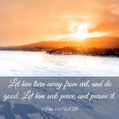 Picture 03 - 1 Peter 3:11 WEB - Let him turn away from evil, and do good. Let him - Bible Verse Picture