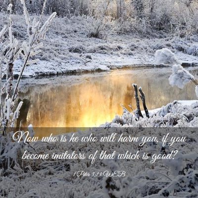 Picture 03 - 1 Peter 3:13 WEB - Now who is he who will harm you, if you become - Bible Verse Picture