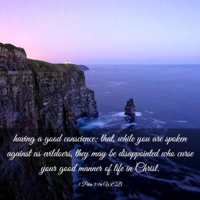 Picture 03 - 1 Peter 3:16 WEB - having a good conscience; that, while you are - Bible Verse Picture