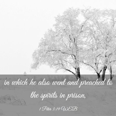 Picture 03 - 1 Peter 3:19 WEB - in which he also went and preached to the spirits - Bible Verse Picture