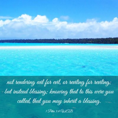 Picture 03 - 1 Peter 3:9 WEB - not rendering evil for evil, or reviling for - Bible Verse Picture