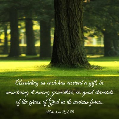 Picture 03 - 1 Peter 4:10 WEB - According as each has received a gift, be - Bible Verse Picture