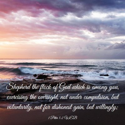 Picture 03 - 1 Peter 5:2 WEB - Shepherd the flock of God which is among you, - Bible Verse Picture
