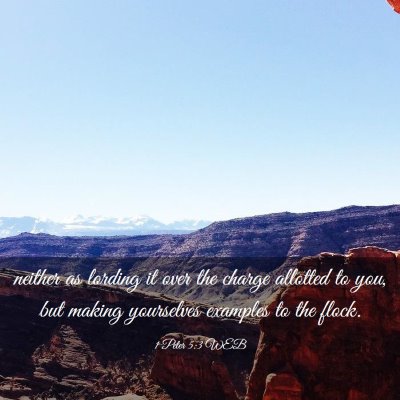 Picture 03 - 1 Peter 5:3 WEB - neither as lording it over the charge allotted to - Bible Verse Picture