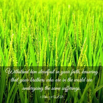 Picture 03 - 1 Peter 5:9 WEB - Withstand him steadfast in your faith, knowing - Bible Verse Picture