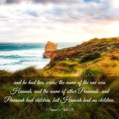 Picture 03 - 1 Samuel 1:2 WEB - and he had two wives; the name of the one was - Bible Verse Picture