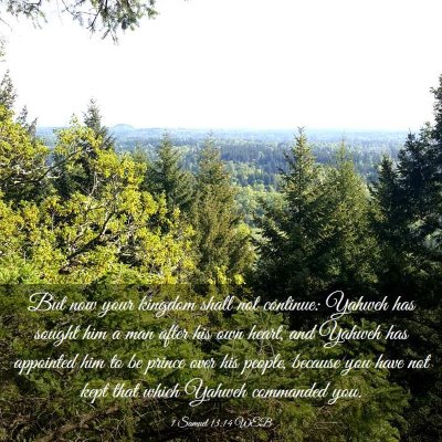 Picture 03 - 1 Samuel 13:14 WEB - But now your kingdom shall not continue: Yahweh - Bible Verse Picture