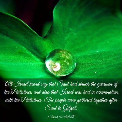 Picture 03 - 1 Samuel 13:4 WEB - All Israel heard say that Saul had struck the - Bible Verse Picture