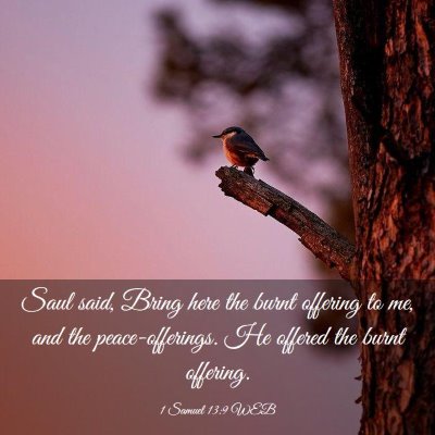 Picture 03 - 1 Samuel 13:9 WEB - Saul said, Bring here the burnt offering to me, - Bible Verse Picture