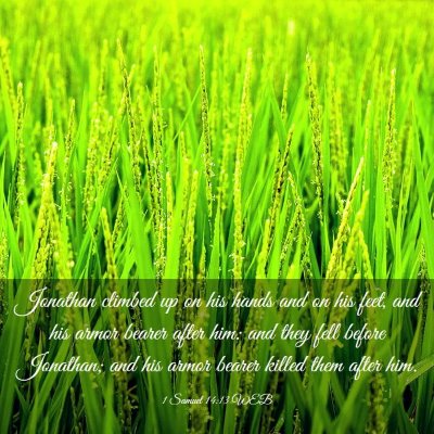 Picture 03 - 1 Samuel 14:13 WEB - Jonathan climbed up on his hands and on his feet, - Bible Verse Picture