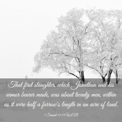 Picture 03 - 1 Samuel 14:14 WEB - That first slaughter, which Jonathan and his - Bible Verse Picture
