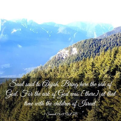 Picture 03 - 1 Samuel 14:18 WEB - Saul said to Ahijah, Bring here the ark of God. - Bible Verse Picture