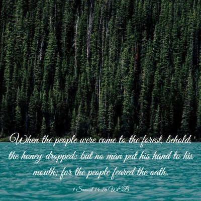 Picture 03 - 1 Samuel 14:26 WEB - When the people were come to the forest, behold, - Bible Verse Picture