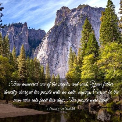 Picture 03 - 1 Samuel 14:28 WEB - Then answered one of the people, and said, Your - Bible Verse Picture