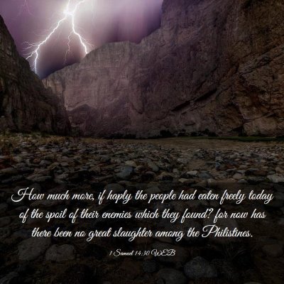 Picture 03 - 1 Samuel 14:30 WEB - How much more, if haply the people had eaten - Bible Verse Picture