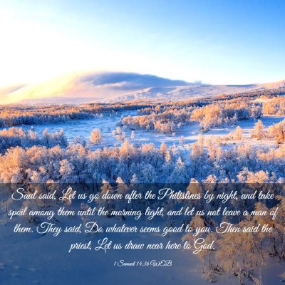 Picture 03 - 1 Samuel 14:36 WEB - Saul said, Let us go down after the Philistines - Bible Verse Picture