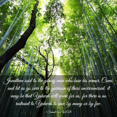 Picture 03 - 1 Samuel 14:6 WEB - Jonathan said to the young man who bore his - Bible Verse Picture