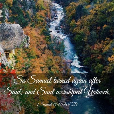 Picture 03 - 1 Samuel 15:31 WEB - So Samuel turned again after Saul; and Saul - Bible Verse Picture
