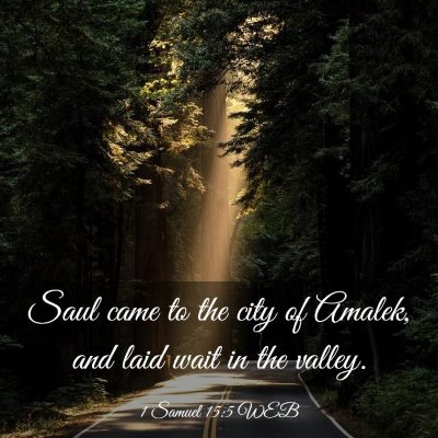 Picture 03 - 1 Samuel 15:5 WEB - Saul came to the city of Amalek, and laid wait in - Bible Verse Picture