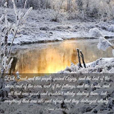 Picture 03 - 1 Samuel 15:9 WEB - But Saul and the people spared Agag, and the best - Bible Verse Picture