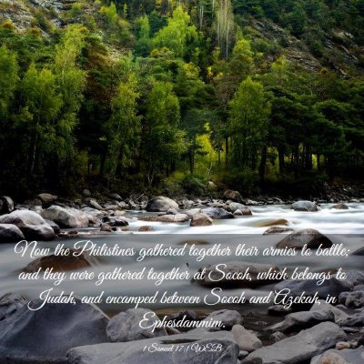 Picture 03 - 1 Samuel 17:1 WEB - Now the Philistines gathered together their - Bible Verse Picture