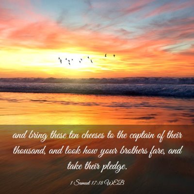 Picture 03 - 1 Samuel 17:18 WEB - and bring these ten cheeses to the captain of - Bible Verse Picture