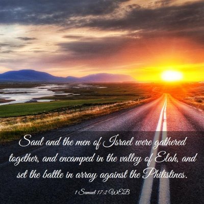 Picture 03 - 1 Samuel 17:2 WEB - Saul and the men of Israel were gathered - Bible Verse Picture