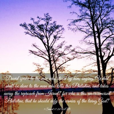 Picture 03 - 1 Samuel 17:26 WEB - David spoke to the men who stood by him, saying, - Bible Verse Picture