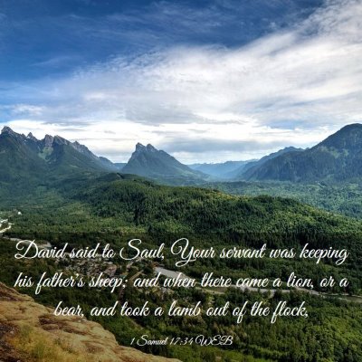 Picture 03 - 1 Samuel 17:34 WEB - David said to Saul, Your servant was keeping his - Bible Verse Picture