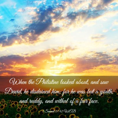 Picture 03 - 1 Samuel 17:42 WEB - When the Philistine looked about, and saw David, - Bible Verse Picture