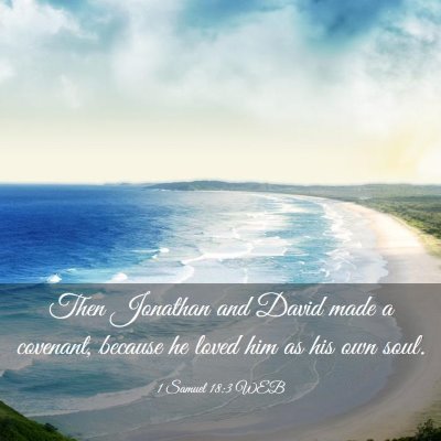 Picture 03 - 1 Samuel 18:3 WEB - Then Jonathan and David made a covenant, because - Bible Verse Picture