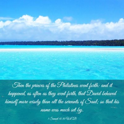 Picture 03 - 1 Samuel 18:30 WEB - Then the princes of the Philistines went forth: - Bible Verse Picture