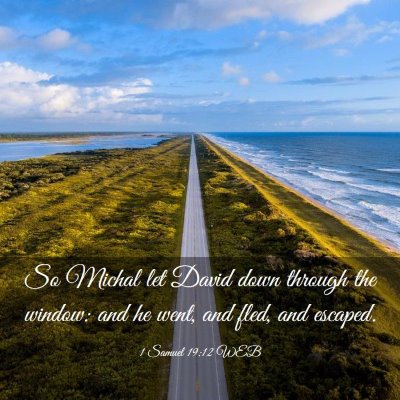 Picture 03 - 1 Samuel 19:12 WEB - So Michal let David down through the window: and - Bible Verse Picture