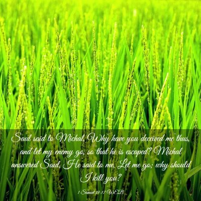 Picture 03 - 1 Samuel 19:17 WEB - Saul said to Michal, Why have you deceived me - Bible Verse Picture