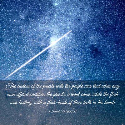 Picture 03 - 1 Samuel 2:13 WEB - The custom of the priests with the people was - Bible Verse Picture