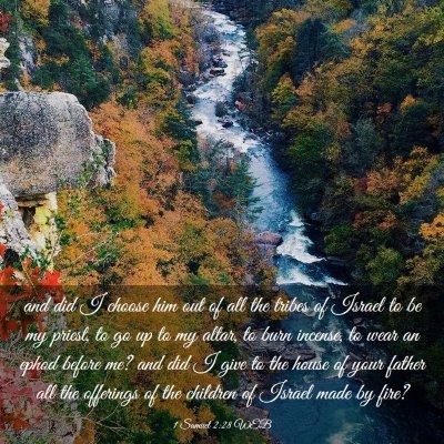 Picture 03 - 1 Samuel 2:28 WEB - and did I choose him out of all the tribes of - Bible Verse Picture