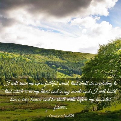 Picture 03 - 1 Samuel 2:35 WEB - I will raise me up a faithful priest, that shall - Bible Verse Picture