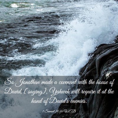 Picture 03 - 1 Samuel 20:16 WEB - So Jonathan made a covenant with the house of - Bible Verse Picture