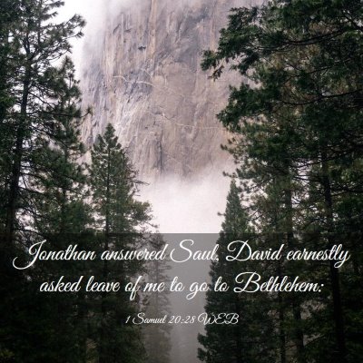 Picture 03 - 1 Samuel 20:28 WEB - Jonathan answered Saul, David earnestly asked - Bible Verse Picture