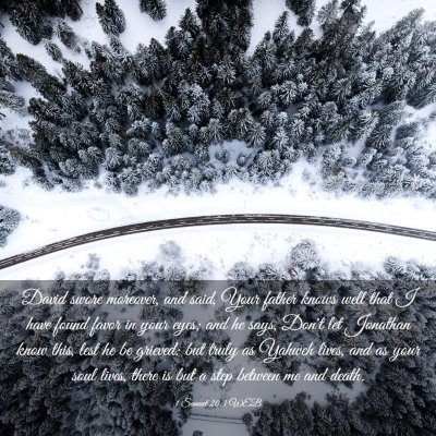 Picture 03 - 1 Samuel 20:3 WEB - David swore moreover, and said, Your father knows - Bible Verse Picture