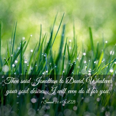 Picture 03 - 1 Samuel 20:4 WEB - Then said Jonathan to David, Whatever your soul - Bible Verse Picture
