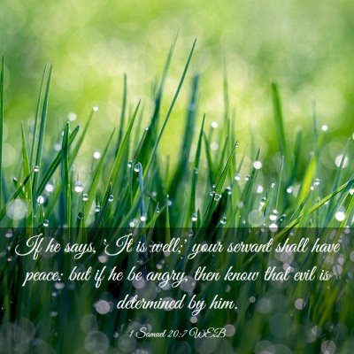 Picture 03 - 1 Samuel 20:7 WEB - If he says, 'It is well;' your servant shall have - Bible Verse Picture