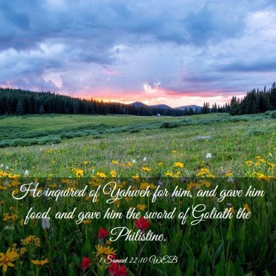 Picture 03 - 1 Samuel 22:10 WEB - He inquired of Yahweh for him, and gave him food, - Bible Verse Picture