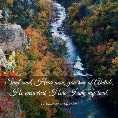 Picture 03 - 1 Samuel 22:12 WEB - Saul said, Hear now, you son of Ahitub. He - Bible Verse Picture