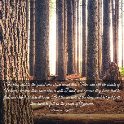 Picture 03 - 1 Samuel 22:17 WEB - The king said to the guard who stood about him, - Bible Verse Picture