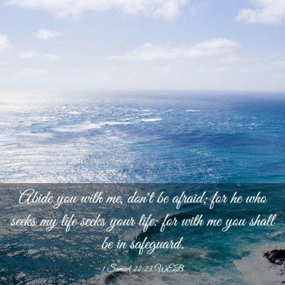 Picture 03 - 1 Samuel 22:23 WEB - Abide you with me, don't be afraid; for he who - Bible Verse Picture