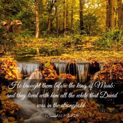 Picture 03 - 1 Samuel 22:4 WEB - He brought them before the king of Moab: and they - Bible Verse Picture